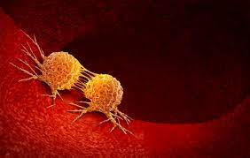 Bevacizumab